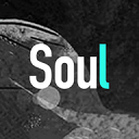 Soul安装