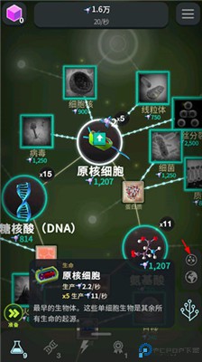 从细胞到奇点