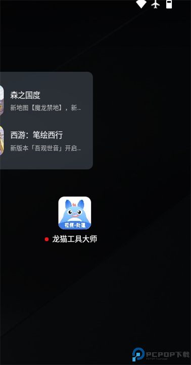 龙猫水印大师截图