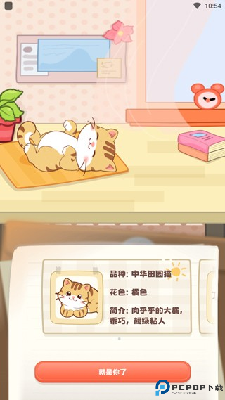 桌面喵