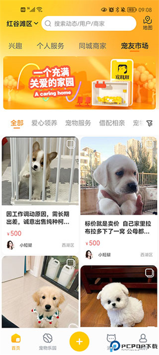 宠胖胖手机版截图