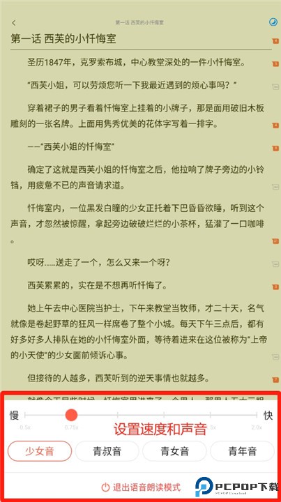 菠萝包轻小说