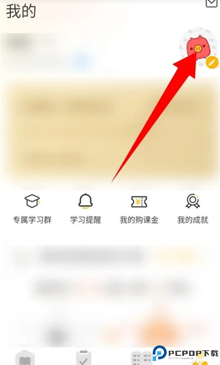 ted正版