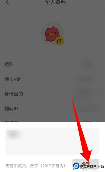 ted正版
