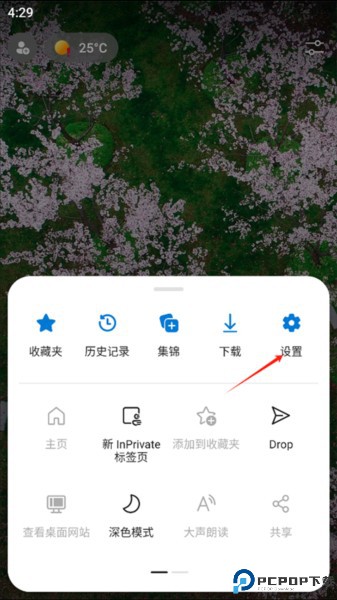 edge浏览器