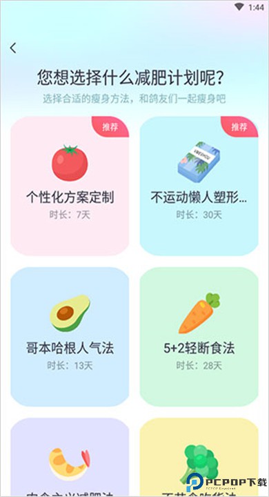 呼啦鸽