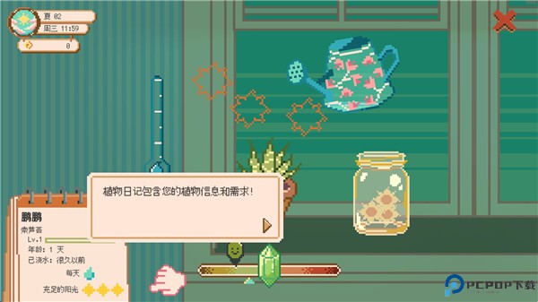 窗口花园