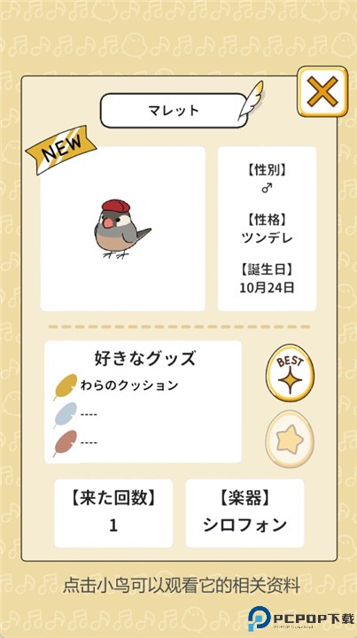 鸟之音