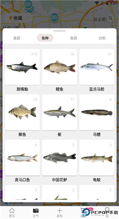 渔获app