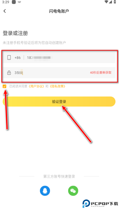 闪电龟