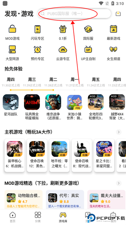 闪电龟