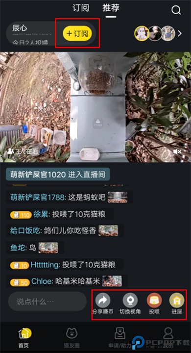 哈啰街猫app