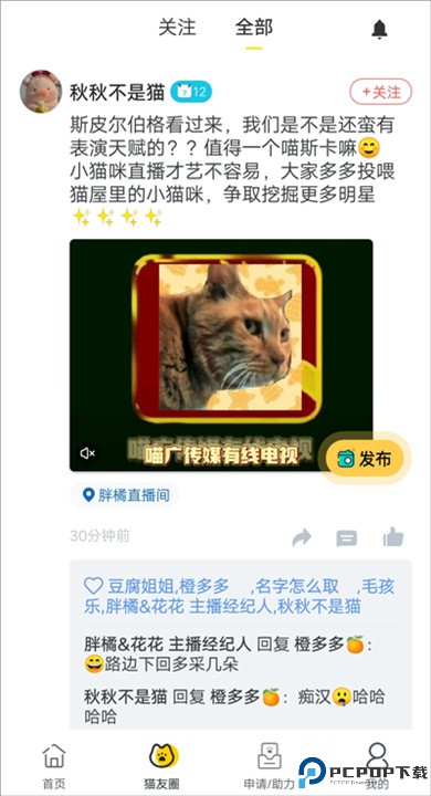 哈啰街猫app