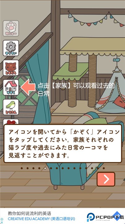 猫咪饲养日常