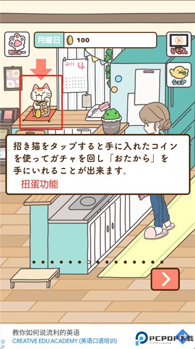 猫咪饲养日常