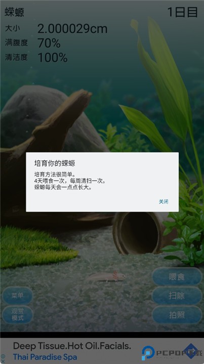 治愈的蝾螈育成游戏