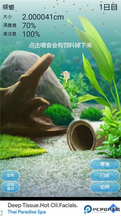 治愈的蝾螈育成游戏