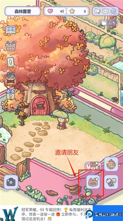 治疗口袋