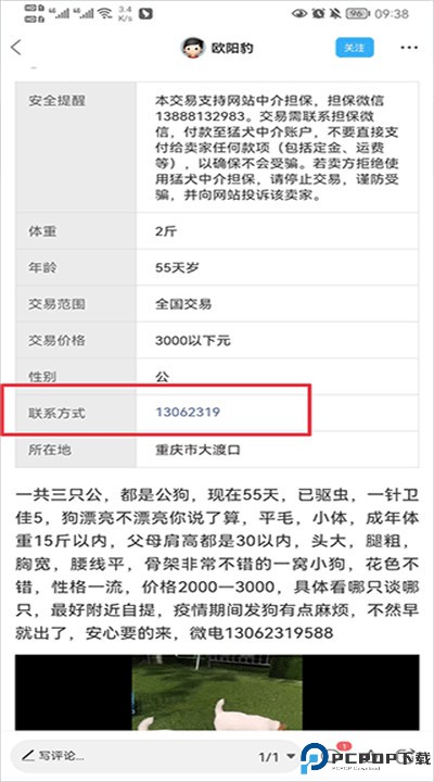 猛犬俱乐部软件下载