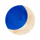 月亮日记软件