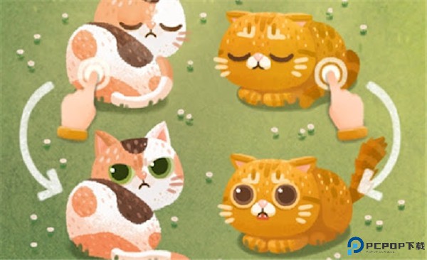 猫咪密林