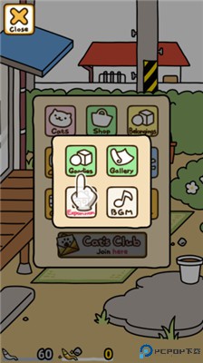 猫咪后院2