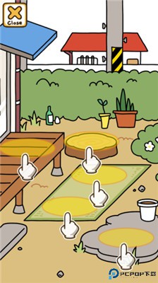 猫咪后院2