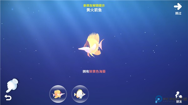 深海庭院