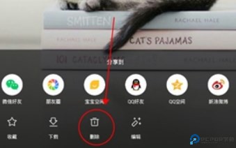 亲宝宝app