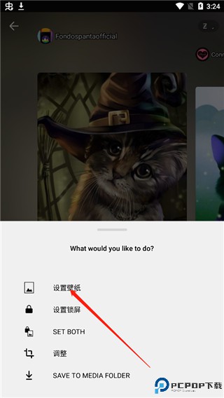 zedge壁纸