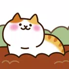 猫咪田园