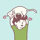 寻找猫隐藏