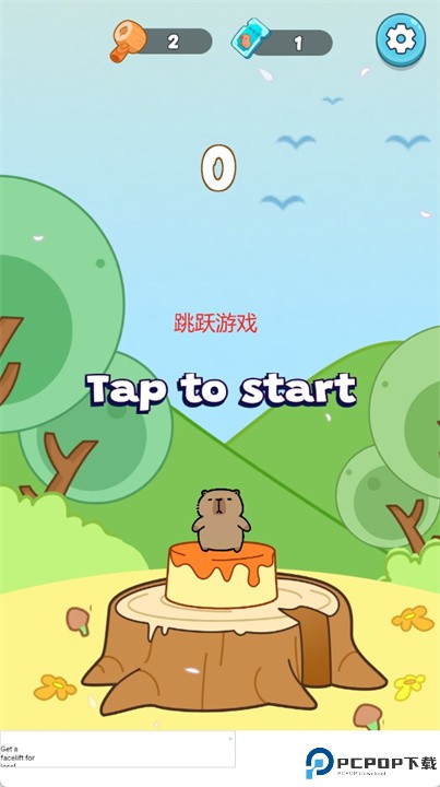 卡皮巴挑战游戏