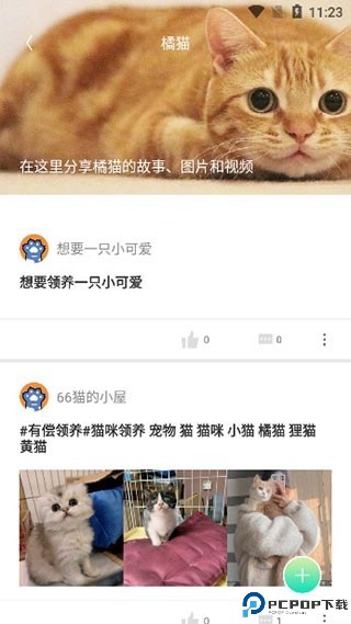 握爪宠物app