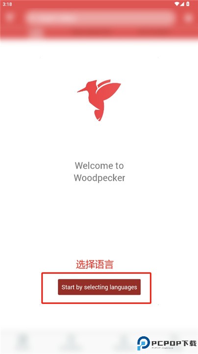 敲敲学英文
