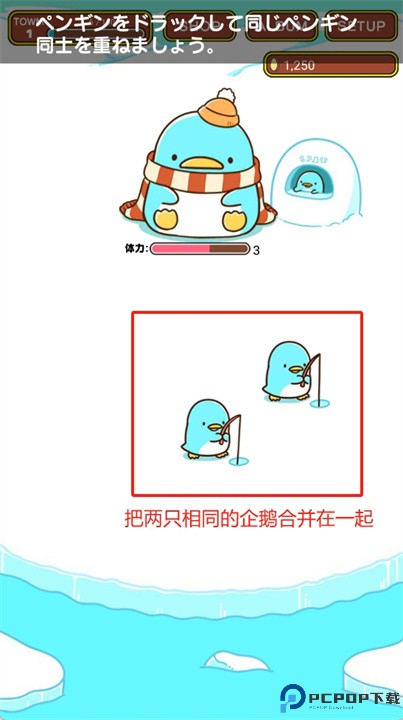 企鹅城镇