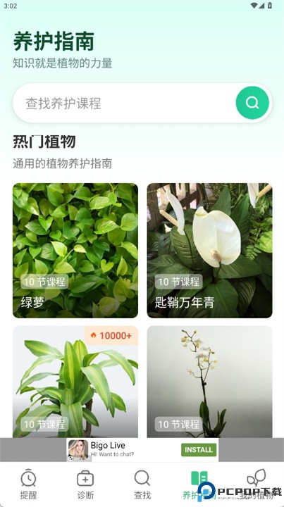 plant parent中文版