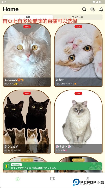 nekochan软件
