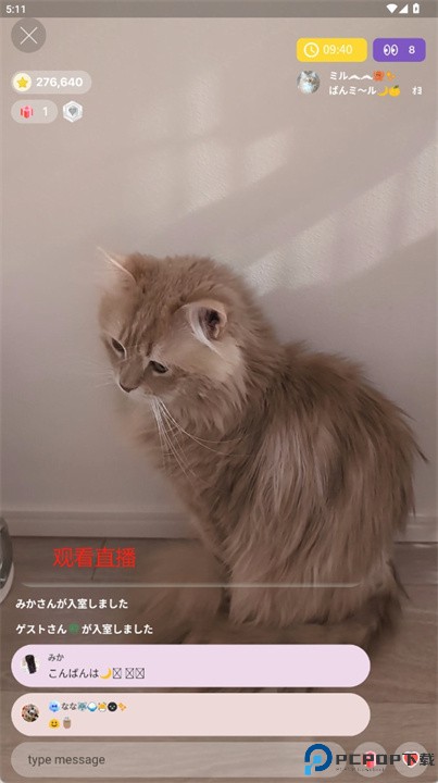 nekochan软件