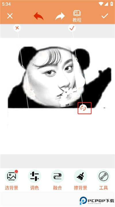 暴走p图