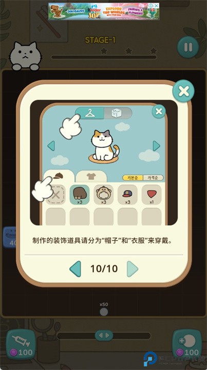 神秘的猫咪牙科