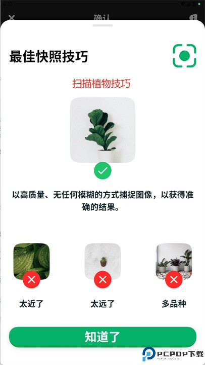 人工智能植物识别器