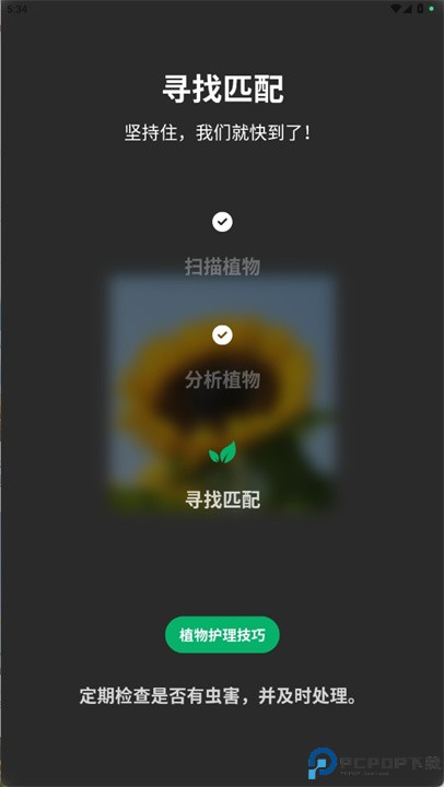 人工智能植物识别器