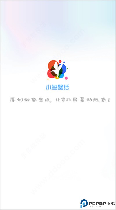 360小鸟壁纸下载