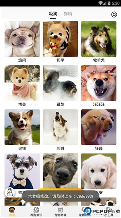 狗语翻译器下载
