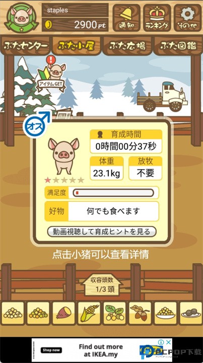 养猪场mix