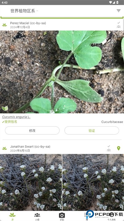 plantnet软件