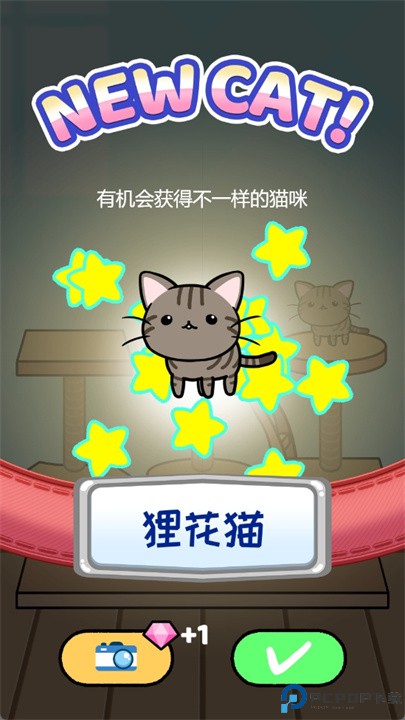 猫咪公寓2游戏