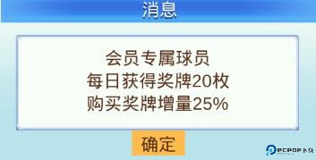 冠军足球物语2下载安装截图