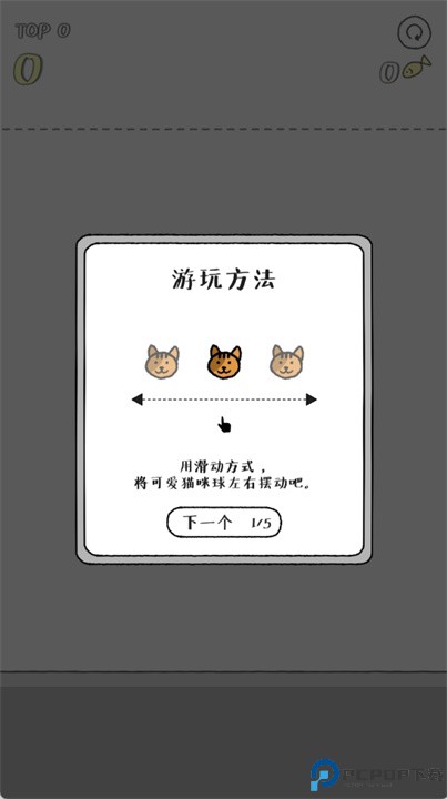 猫咪真的很爆爆